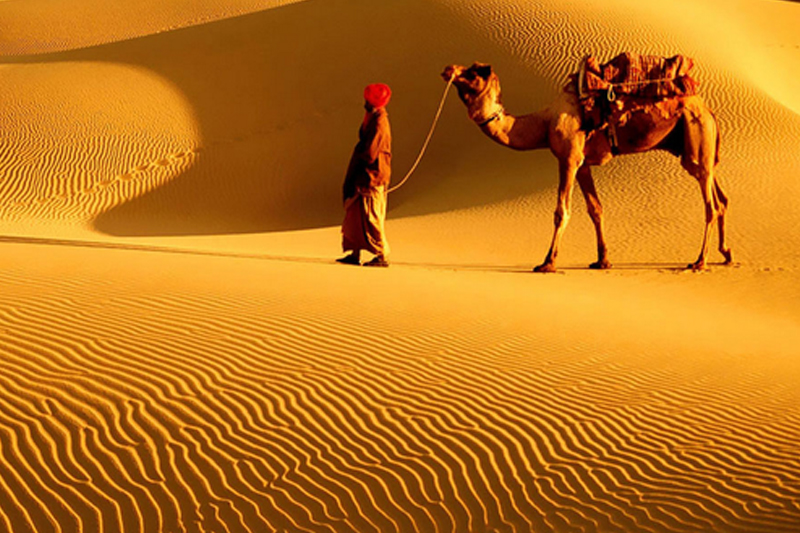 Royal Rajasthan Tour travel agency in chennai