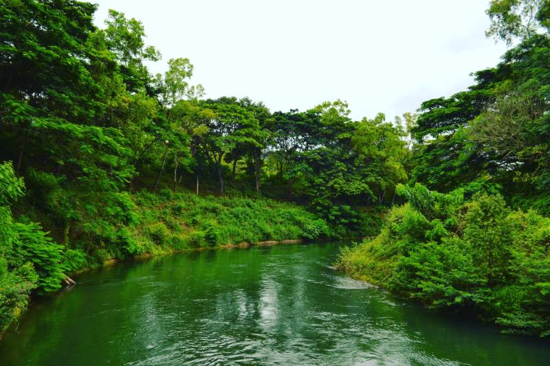 Coorg Mysuru Tour travel agency in chennai