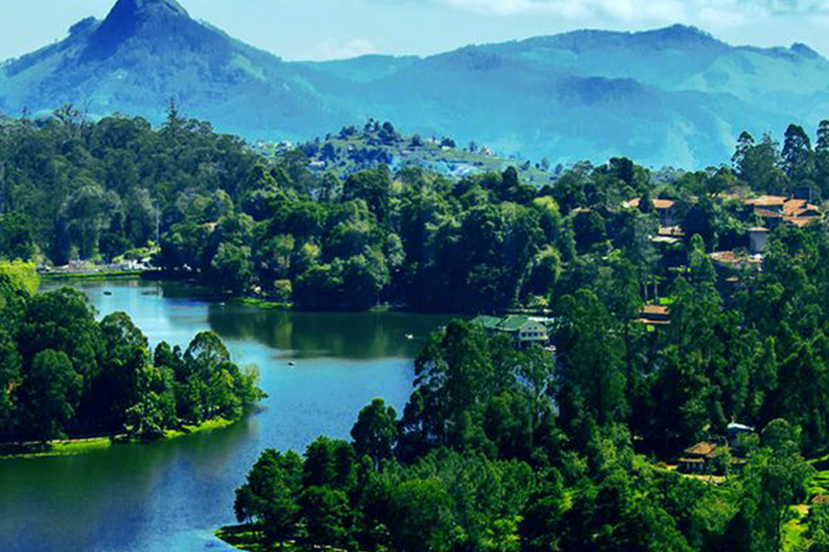 Kodai Tour travel agency in chennai